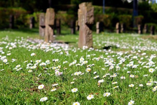 EVERYTHING YOU NEED TO KNOW ABOUT URNS BURIALS