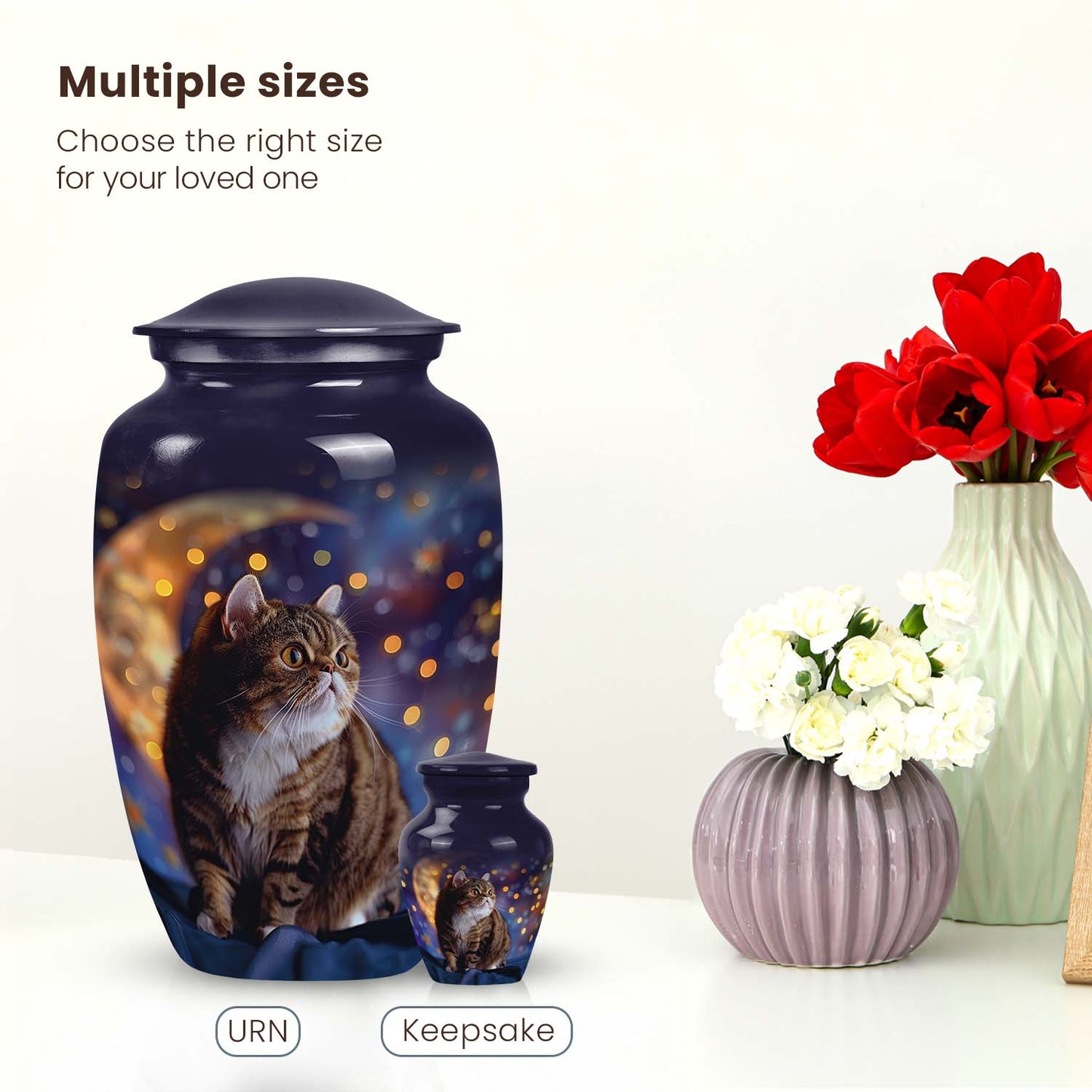 Starry Theme