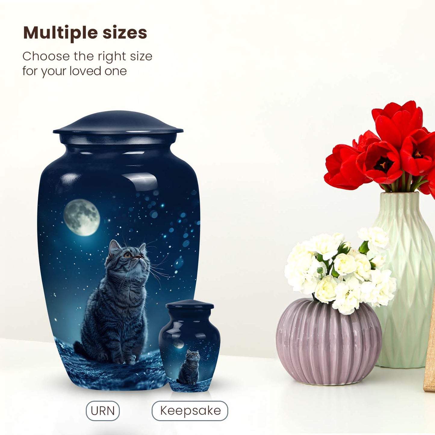 Starry Sky Design