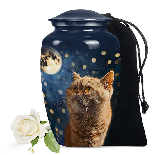 Cat Urn